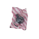 Lucas TVS Regulator & Brush Box Assembly - 26216033