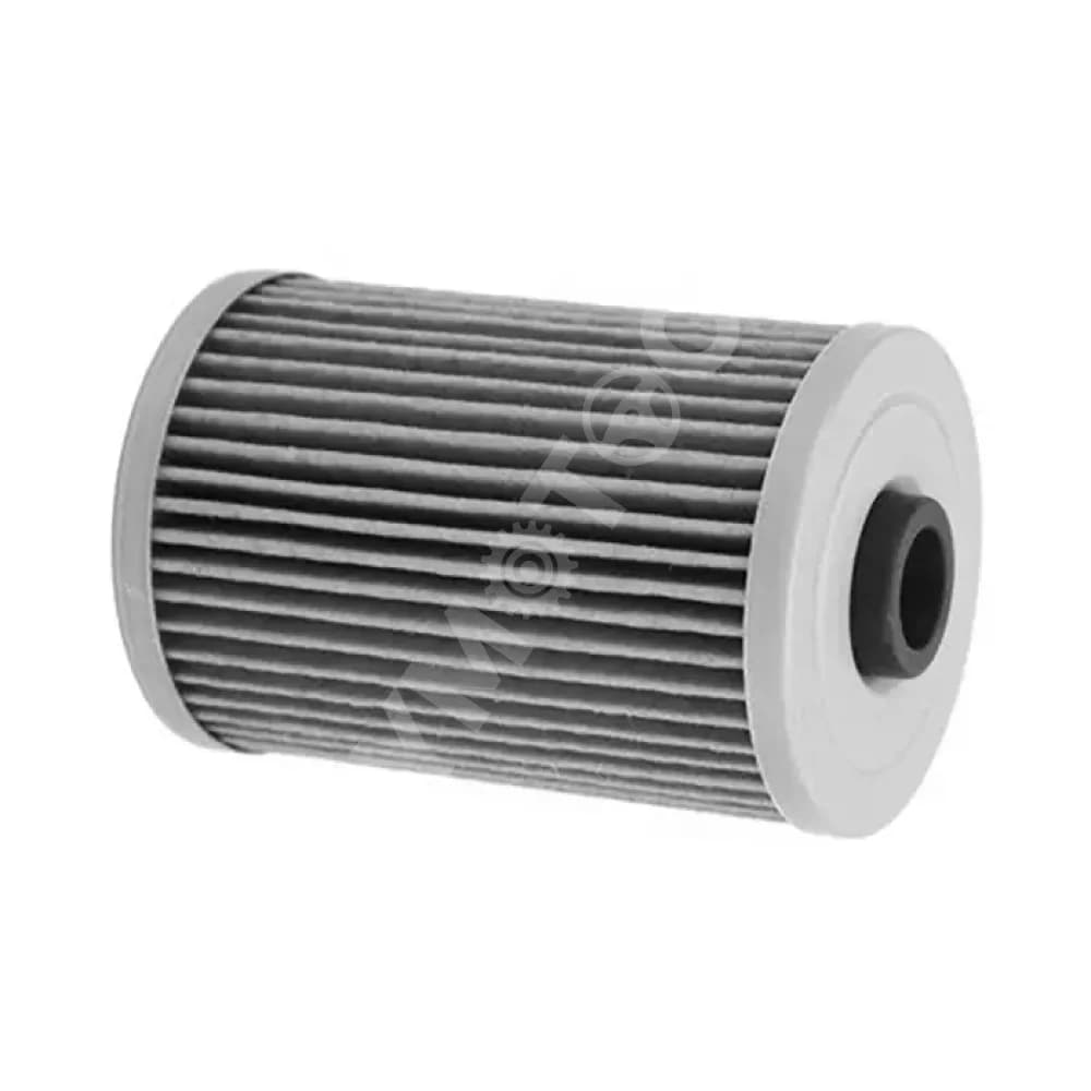 Bosch (Insert) Diesel Filter - Ashok Leyland Dost