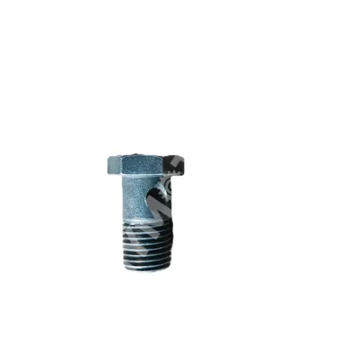 Generic Banjo Bolt 19No