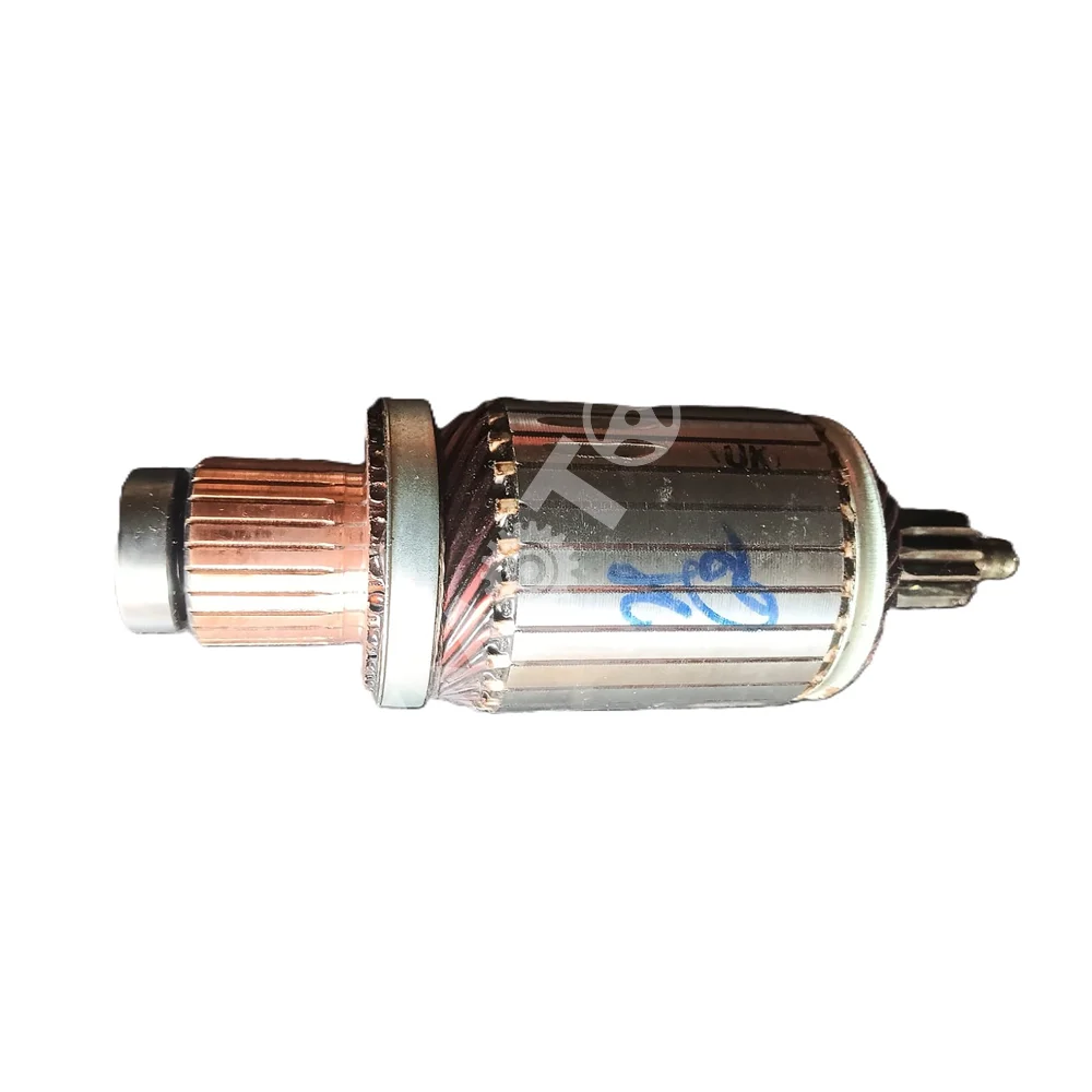 Lucas TVS - Armature & Bearing Assembly  - 26247310