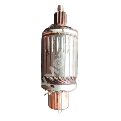 Lucas TVS - Armature & Bearing Assembly  - 26247311