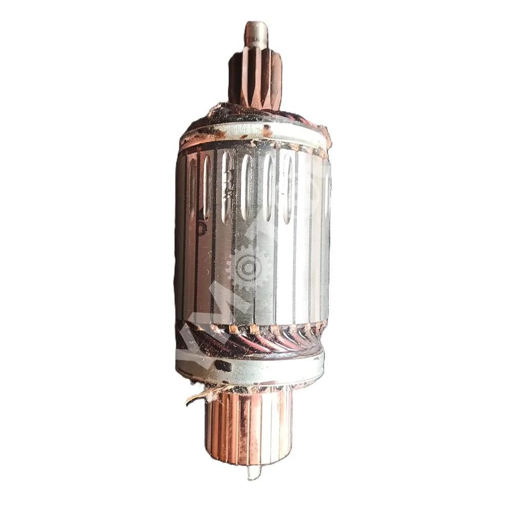 Lucas TVS - Armature & Bearing Assembly  - 26247311