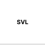 SVL