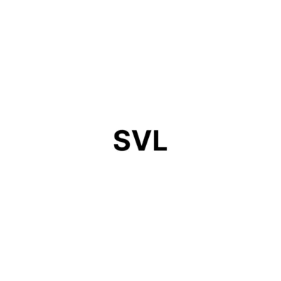 SVL UJ cross kit R 42 x 120 for Tata 1613 / 2515 - VDUJ0325L119